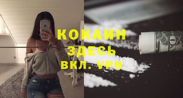 MESCALINE Покачи